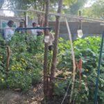 जागतिक चिमणी दिन – चला, निसर्गाशी पुन्हा नातं जोडूया! 🐦🌿